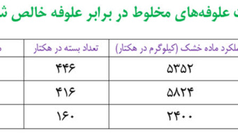 افزایش چشمگیر عملکرد علوفه‌های مخلوط در پایگاه‌های نوآوری استان ایلام