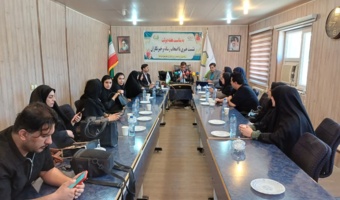 الگوی کشت ایلام نیازمند بازنگری؛ ۸۰ تا ۹۰ درصد اراضی زیر کشت گندم است