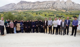 تحولی چشمگیر در دیم‌زارهای ایلام؛ از اراضی بایر تا احداث بزرگ‌ترین باغات انگور و زیتون  در سایت های باغبانی «پِلیه، بانبکر و مزرعه ۱۴» ایوان