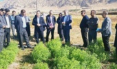 از ایستگاه‌های تحقیقاتی تا باغ گیاهشناسی؛ ارزیابی ظرفیت‌های علمی کشاورزی ایلام