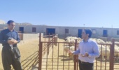 کارگاه یاوران تولید  «پرواربندی بره» با محوریت تغذیه علمی و انتخاب نژاد بومی در ایوان برگزار شد