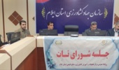 چهارمین جلسه شورای تات در ایلام برگزار شد