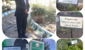 ایلام، میزبان مرکز ملی ذخایر ژنتیکی گیاهی و چوبی شد