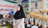 پیوند دانشگاه و مزرعه در هفته پژوهش با بازدید از ایستگاه چرداول