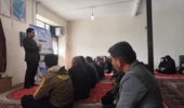 لزوم جایگزینی ۲۵ درصدی سالانه میش‌ها برای افزایش بهره‌وری