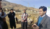 آموزش دامداران روستای چم‌روته با رویکرد اصلاح نژاد گروهی و افزایش بهره‌وری تولید