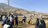 محقق مرکز تحقیقات ایلام نسبت به خطر کزاز علفی در مراتع بهاره هشدار داد
