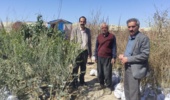 تداوم فعالیت‌های نظارتی در بخش بذر و نهال با وجود شرایط خاص کشور