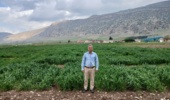 پیشرفت چشمگیر پروژه‌های گندم دیم در ایستگاه چرداول؛ گامی مهم برای امنیت غذایی