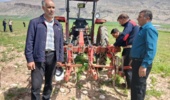 گامی نو در کشاورزی پایدار؛ رونمایی از مزرعه الگویی زراعت نخود مکانیزه در ایلام