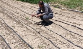 بازدید اعضای کمیته فنی نهال استان از نهالستان تولید نهال بخش زرنه ی ایوان