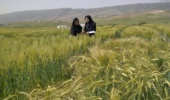گامی نو در ارتقای پروژه‌های کشاورزی