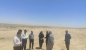 تحول در صنعت دامپروری ایلام با دانشبنیان کردن پرورش شتر در دهلران