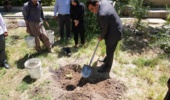در باغ گیاه‌شناسی واقع در ساختمان شماره یک جهاد کشاورزی در خیابان آیت‌الله حیدری انجام شد