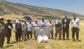 برگزاری رویداد هفته انتقال یافته‌های تحقیقاتی زراعت مکانیزه نخود پاییزه در پایگاه نوآوری زراعت محصولات دیم شهرستان ایوان