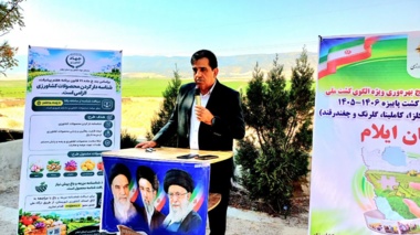 الگوی کشت ایوان باید به‌سمت محصولات اقتصادی و سازگار با اقلیم حرکت کند
