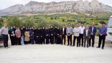 تحولی چشمگیر در دیم‌زارهای ایلام؛ از اراضی بایر تا احداث بزرگ‌ترین باغات انگور و زیتون  در سایت های باغبانی «پِلیه، بانبکر و مزرعه ۱۴» ایوان