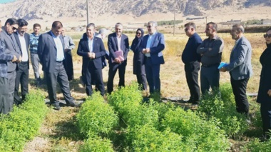 از ایستگاه‌های تحقیقاتی تا باغ گیاهشناسی؛ ارزیابی ظرفیت‌های علمی کشاورزی ایلام