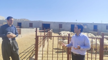 کارگاه یاوران تولید  «پرواربندی بره» با محوریت تغذیه علمی و انتخاب نژاد بومی در ایوان برگزار شد