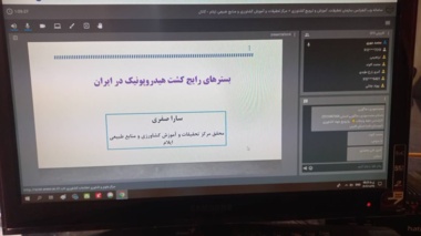 محقق مرکز تحقیقات کشاورزی: هیدروپونیک راهکاری مؤثر برای افزایش تولید و مقابله با محدودیت منابع آب و خاک
