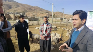 آموزش دامداران روستای چم‌روته با رویکرد اصلاح نژاد گروهی و افزایش بهره‌وری تولید