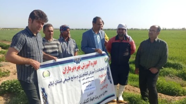 برگزاری دوره آموزشی مدیریت تلفیقی آفات، بیماری‌ها و علف‌های هرز گندم در دهلران