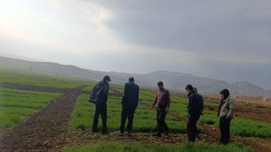 بازدید مسئولان مؤسسه تحقیقات ثبت و گواهی بذر  و نهال کشور از طرح ها و واحدهای تحقیقاتی واحد ثبت و گواهی بذر و نهال استان ایلام