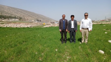 پایگاه نوآوری دیم ایوان؛ راهبردی برای خودکفایی و تاب‌آوری کشاورزان منطقه