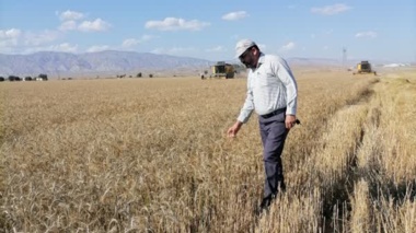 آغاز عملیات برداشت محصولات گندم در اراضی کشاورزی دهلران؛ نویدبخش سال زراعی پربار