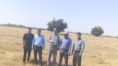 بازدید نظارتی از روند تولید، خرید و نگهداری بذر گندم و جو در شهرستان دهلران