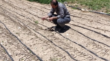 بازدید اعضای کمیته فنی نهال استان از نهالستان تولید نهال بخش زرنه ی ایوان