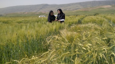 گامی نو در ارتقای پروژه‌های کشاورزی