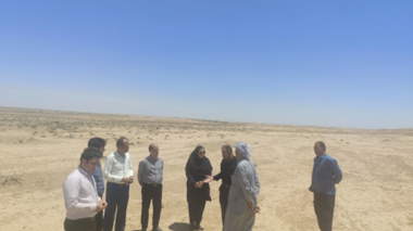 تحول در صنعت دامپروری ایلام با دانش‌بنیان کردن پرورش شتر در دهلران
