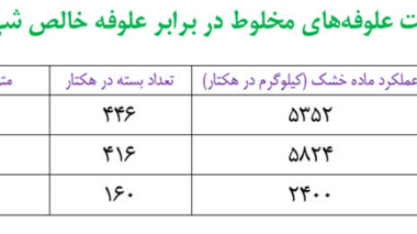 افزایش چشمگیر عملکرد علوفه‌های مخلوط در پایگاه‌های نوآوری استان ایلام