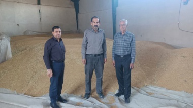 تأمین بذر غلات،امنیت غذایی، پشتوانه کشت سال زراعی آینده استان ایلام