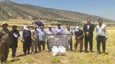 برگزاری رویداد هفته انتقال یافته‌های تحقیقاتی زراعت مکانیزه نخود پاییزه در پایگاه نوآوری زراعت محصولات دیم شهرستان ایوان