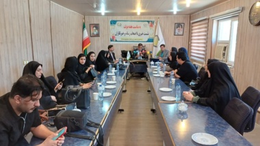 الگوی کشت ایلام نیازمند بازنگری؛ ۸۰ تا ۹۰ درصد اراضی زیر کشت گندم است